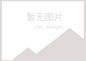 安图县冷漠音乐有限公司